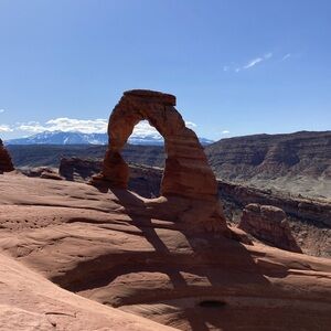 Meet your Posher, Mealie